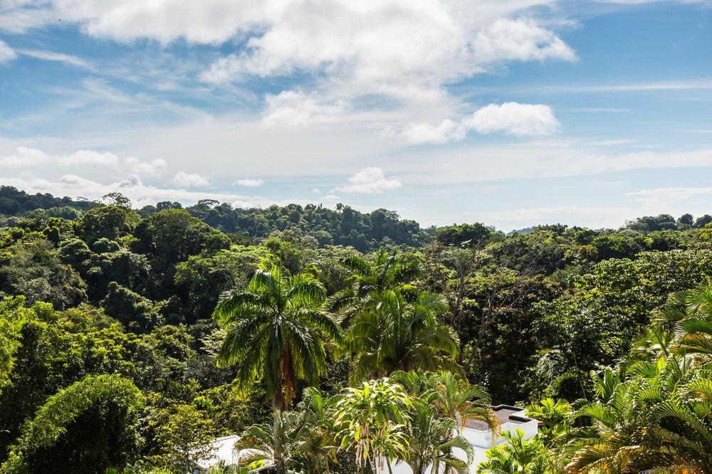 Selina Manuel Antonio Hotel Ngoại thất bức ảnh